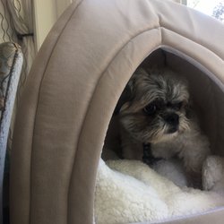Ms. April's Daycare and Preschool - Ms April's baby