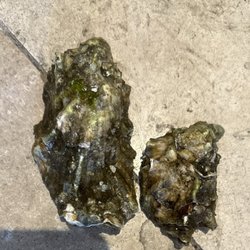 International Marine Products - Oysters They charged medium size but they gave me pretty small size . They cheat to customers ..