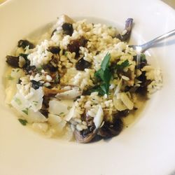 Restaurace Hokejka - Houbove rizoto z denni nabidky