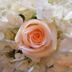 Flowers By Melinda
