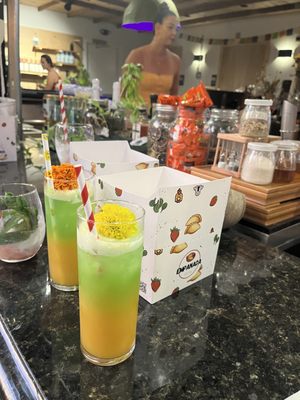 Wildcrafters Booze-Free & Kava Bar by null