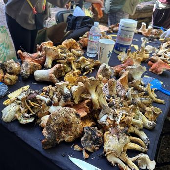 Forage Seattle - Our loot and a goodbye photo. - Food Tours Near Me