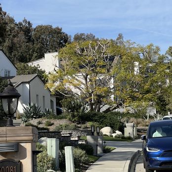 Coastal Arbor Tree Service - After - Tree Services Near Me Coastal Arbor Tree Service - After - Tree Services Near Me