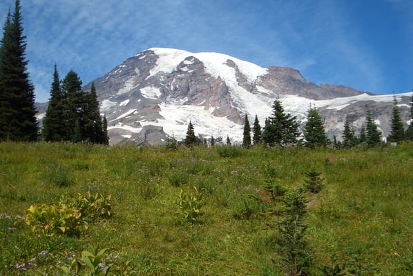 Mount Rainier by null