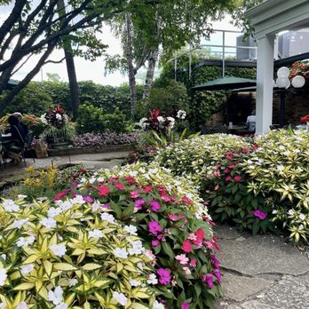 Jax Café - Breathtakingly Beautiful Patio - Steakhouses Near Me - Minneapolis, Minnesota