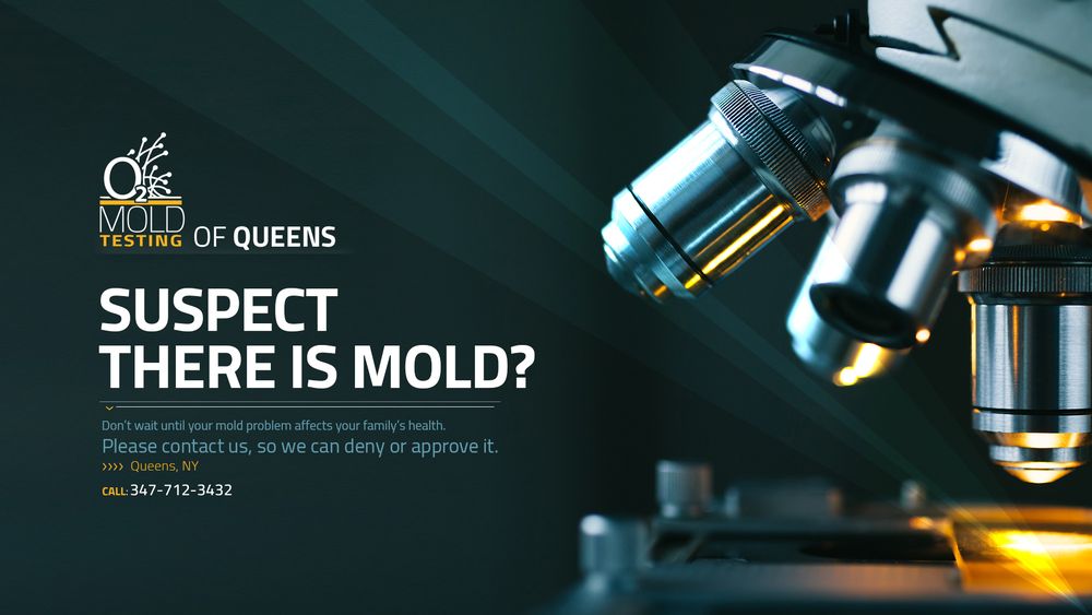 O2 Mold Testing - mold inspector in Elmhurst, NY