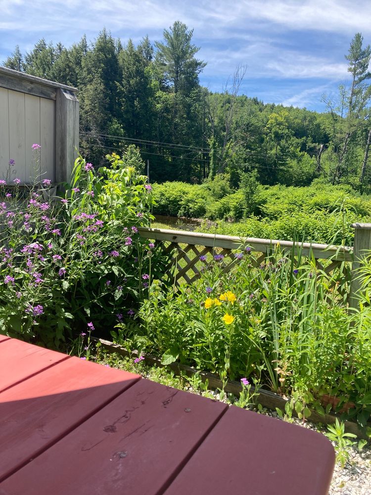 THE GARDEN MARKET Updated July 2024 21 Photos & 23 Reviews 2116 N