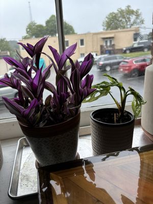 Camino Bakery - Brookstown by null