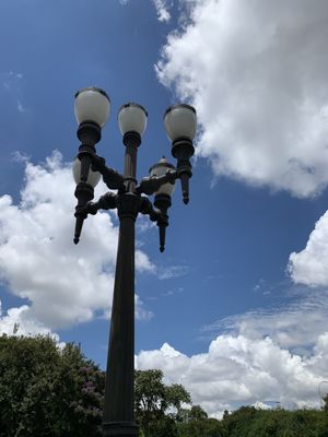Jardim Botânico de Curitiba by null