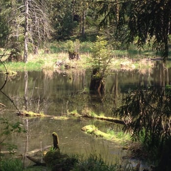 Lord Hill Regional Park - Beaver pond - Parks Near Me - Snohomish, Washington
