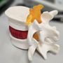 Photo of Spine & Nerve Diagnostic Center