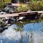 Photo of Millennium Garden