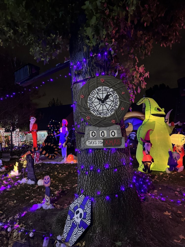 THOROUGHBRED CHRISTMAS LIGHTS 630 Photos & 278 Reviews 8287