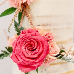 Wright's Dairy Farm & Bakery - Marble cake with strawberry filling, and Italian buttercream frosting