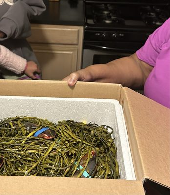 Harbor Fish Market by null