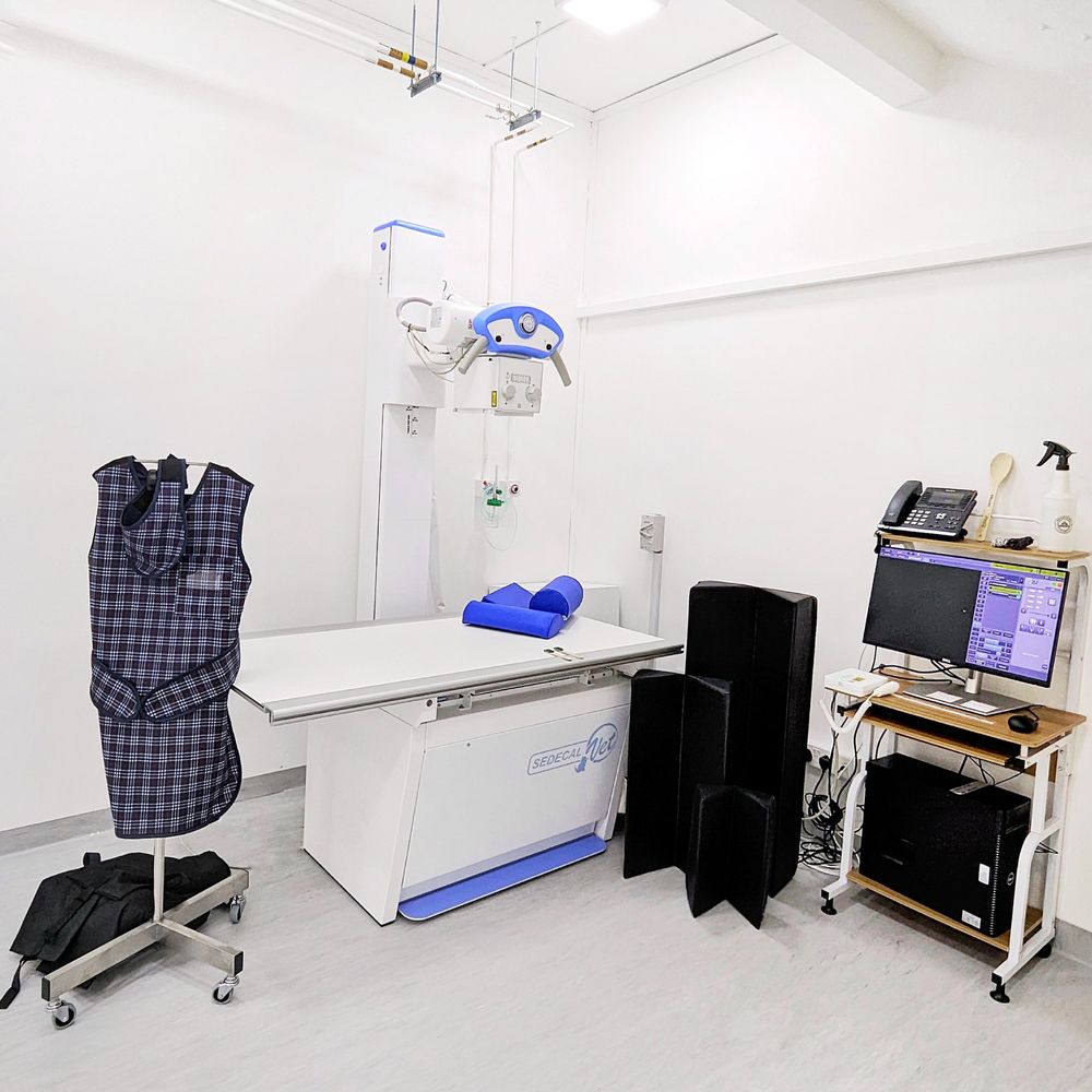 THE BEST 10 OSTEOPATHIC PHYSICIANS near YISHUN, SINGAPORE, SINGAPORE -  Updated 2026 - Hours - Yelp