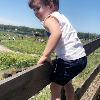 Hunsader Farms - Farms Near Me - Bradenton, Florida