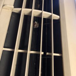 Mold growing in vents of air conditioner