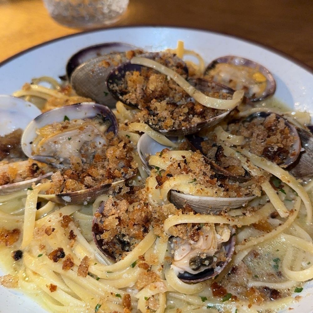 Campanella - Clams and pasta - sooooo good!!! - Italian Near Me - Sebastopol, California Campanella - Clams and pasta - sooooo good!!! - Italian Near Me - Sebastopol, California