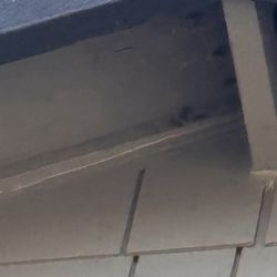 Merle's Pest Control - The after. No more nest
