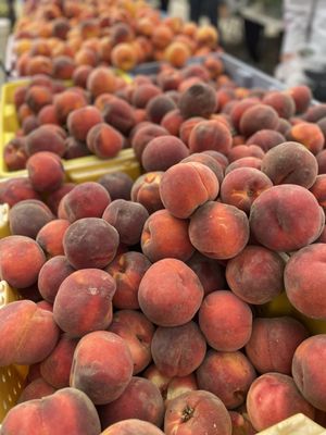 Issaquah Farmers Market by null
