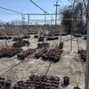 Knoxville Seed & Greenhouse Supply gift card