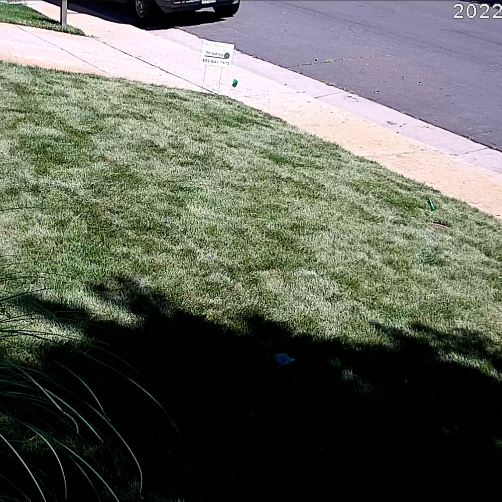 The Sod Guy - After, a beautiful job done by a professional reasonably priced company. - Lawn Services Near Me - Parker, Colorado The Sod Guy - After, a beautiful job done by a professional reasonably priced company. - Lawn Services Near Me - Parker, Colorado