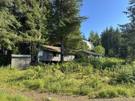 Glacier Bay Lodge & Tours by null