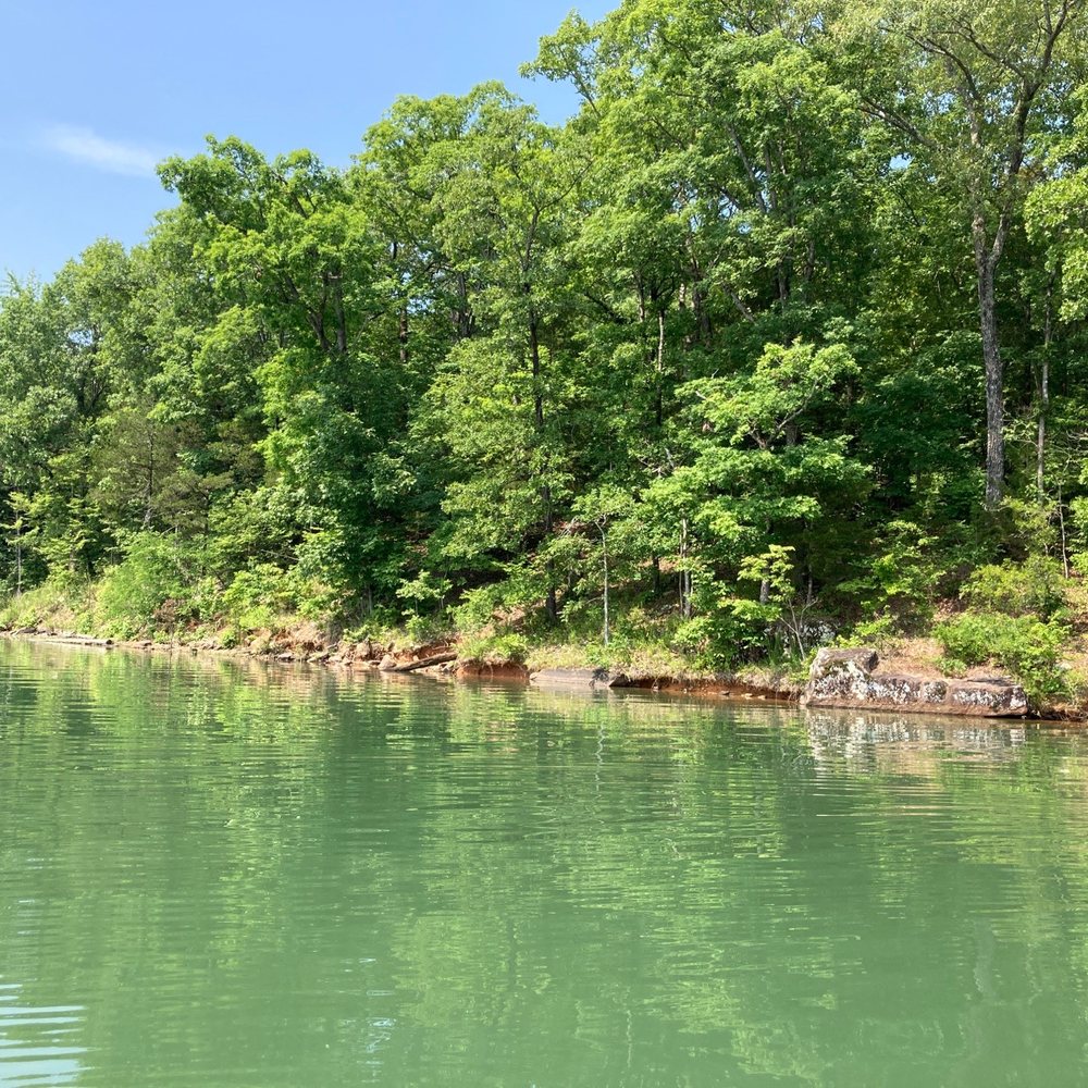 Lake Fort Smith State Park - View of the lake from our paddle boat - Parks Near Me - Mountainburg, Arkansas Lake Fort Smith State Park - View of the lake from our paddle boat - Parks Near Me - Mountainburg, Arkansas