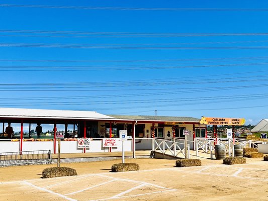 Carlsbad Strawberry Company by null