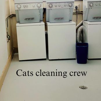Cats Cleaning Crew - Laundry room cleaning - Home Cleaning Near Me - San Marcos, Texas Cats Cleaning Crew - Laundry room cleaning - Home Cleaning Near Me - San Marcos, Texas