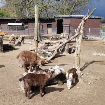 Solinger Vogelpark - Zoos Near Me - Solingen, NW