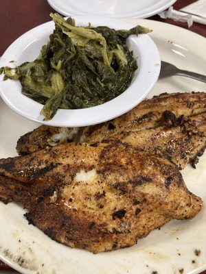 Catfish Country by null