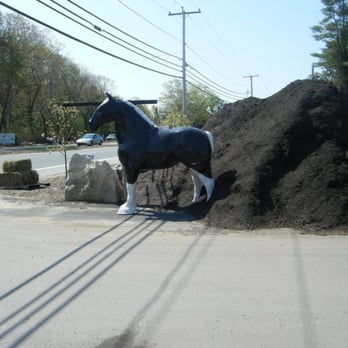 Mulch N' More - Clydesdale - Home & Garden Near Me - Exeter, Rhode Island Mulch N' More - Clydesdale - Home & Garden Near Me - Exeter, Rhode Island