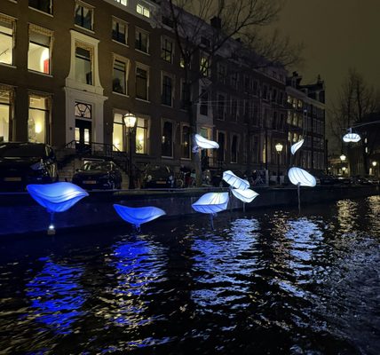 Blue Boat Company by null