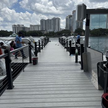 Swan Boat Rentals - Dock - Boating Near Me - Orlando, Florida Swan Boat Rentals - Dock - Boating Near Me - Orlando, Florida