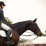 Photo of Core Equestrian