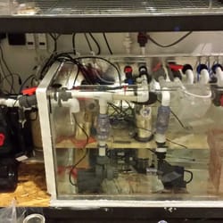 Perception Plastics - All of the dimensions and holes in the custom 90g sump lined up EXACTLY as I had requested.