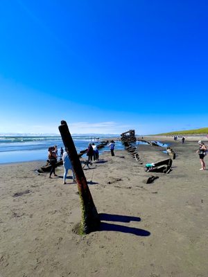 Wreck of the Peter Iredale by null