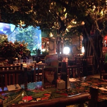 Rainforest Cafe - American Near Me - Galveston, Texas Rainforest Cafe - American Near Me - Galveston, Texas