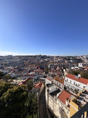 Jardim do Torel by null