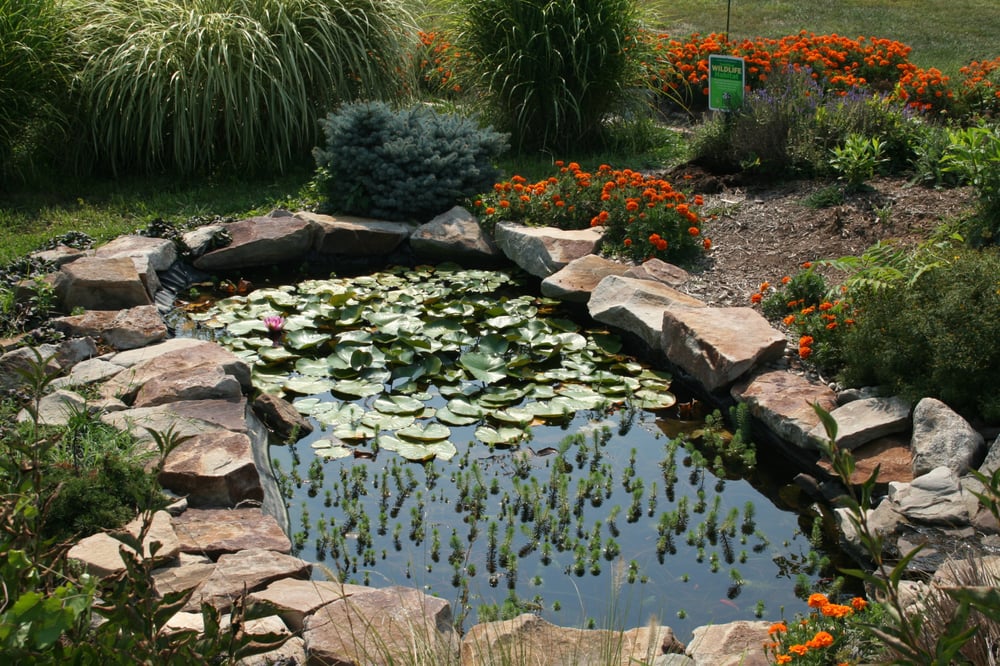 Seneca Academy - childcare center in Darnestown, MD