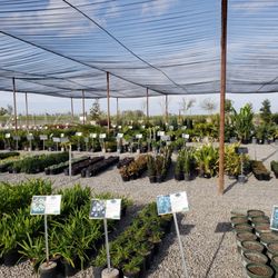 Riverside Nursery and Landscape Supplies
