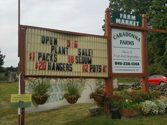 Caradonna Farms by null