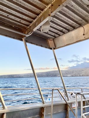 Island Packers Cruises by null