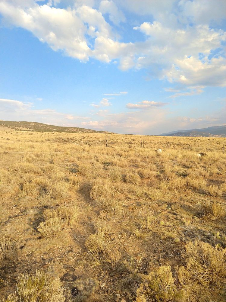 THE MILL CABINS Updated July 2024 1475 UT24, Bicknell, Utah