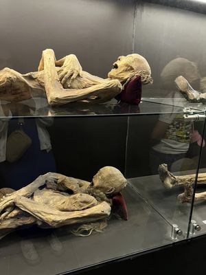 Museum of the Mummies of Guanajuato by null