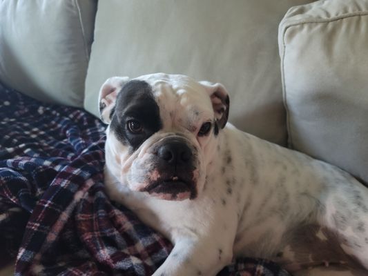 Little Jenna's Grooming