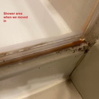 SYNC at Mueller - Shower -  Moved in and immediately found this - Apartments Near Me - Austin, Texas