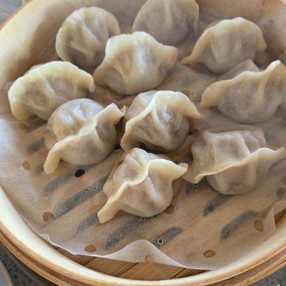 Pan Dumpling House - Beef and Onion Steamed Dumplings - Chinese Near Me - Corona, California